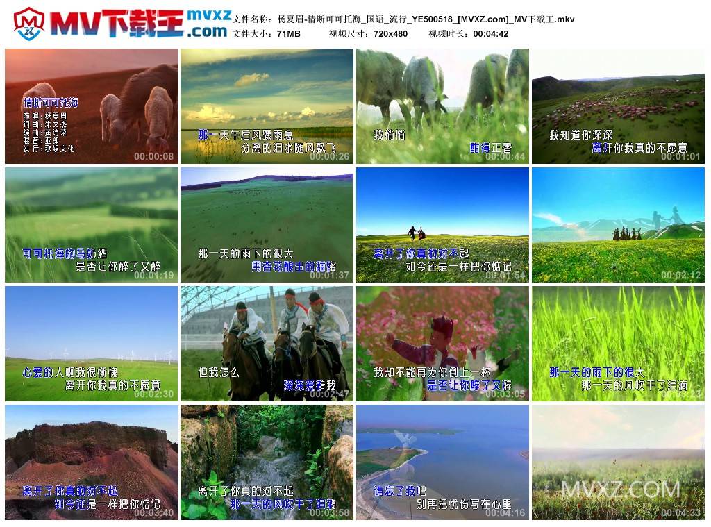 杨夏眉-情断可可托海_国语_流行_YE500518